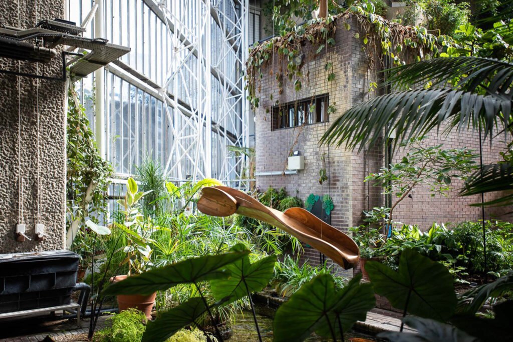 Barbican Conservatory, here you will encounter some plants that are 60 feet tall and some of them are 40 years old, it is the second largest conservatory in London.